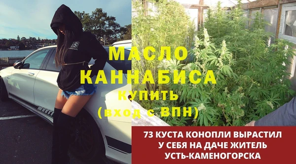 дмт Горно-Алтайск