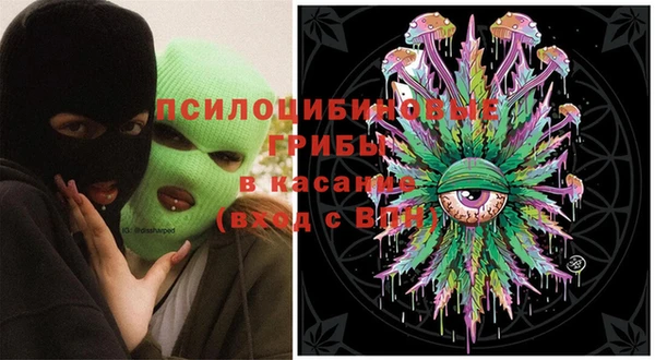 дживик Гусь-Хрустальный