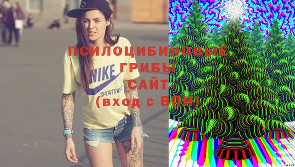 дмт Горно-Алтайск