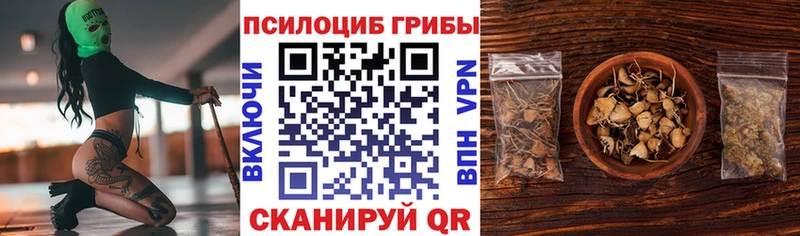 Купить закладки  Ковылкино  Псилоцибиновые грибы MAGIC MUSHROOMS 